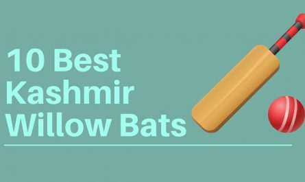 Kashmir Willow Bats