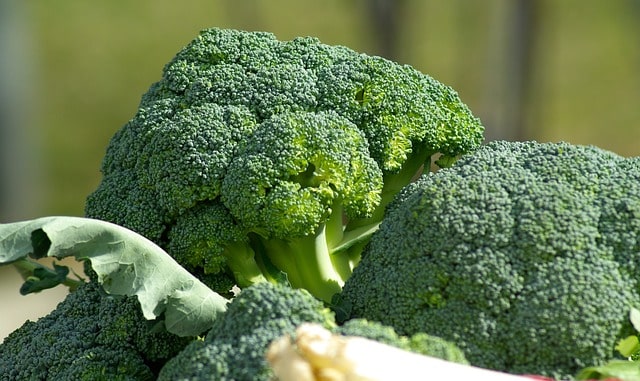 Broccoli for Memory Boosting