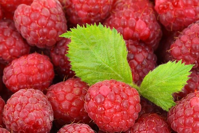 Raspberries Superfood for Digestion