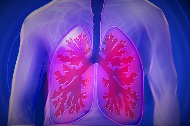 E-Cigarettes Damage Lungs