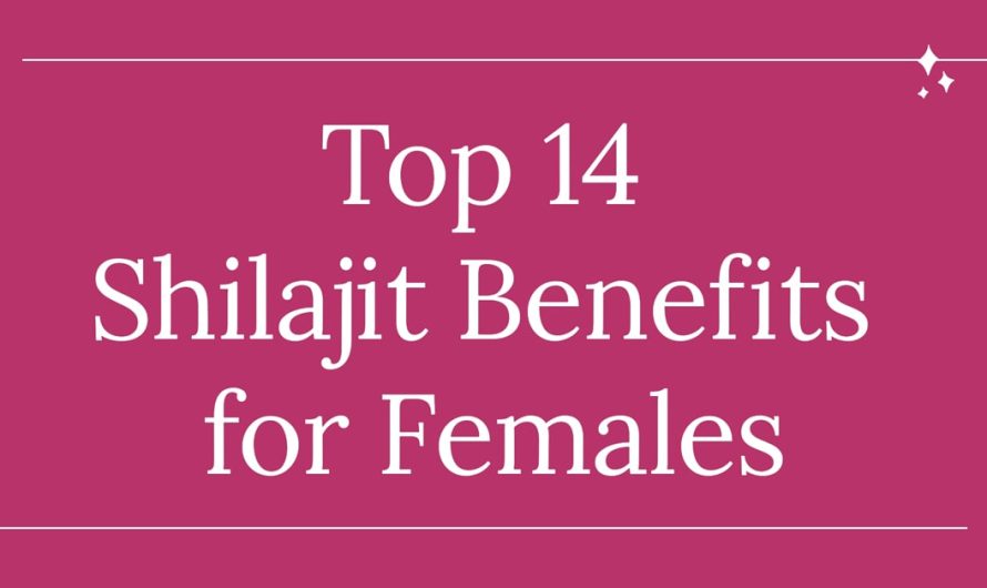 Top 14 Shilajit Benefits for Females