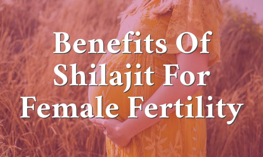 The Promising Benefits Of Shilajit For Female Fertility