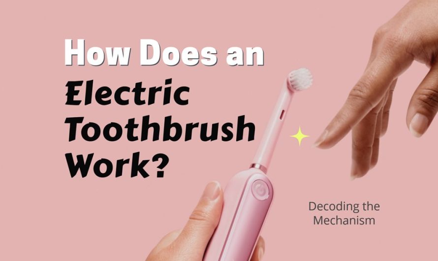 How Does an Electric Toothbrush Work? Decoding the Mechanism